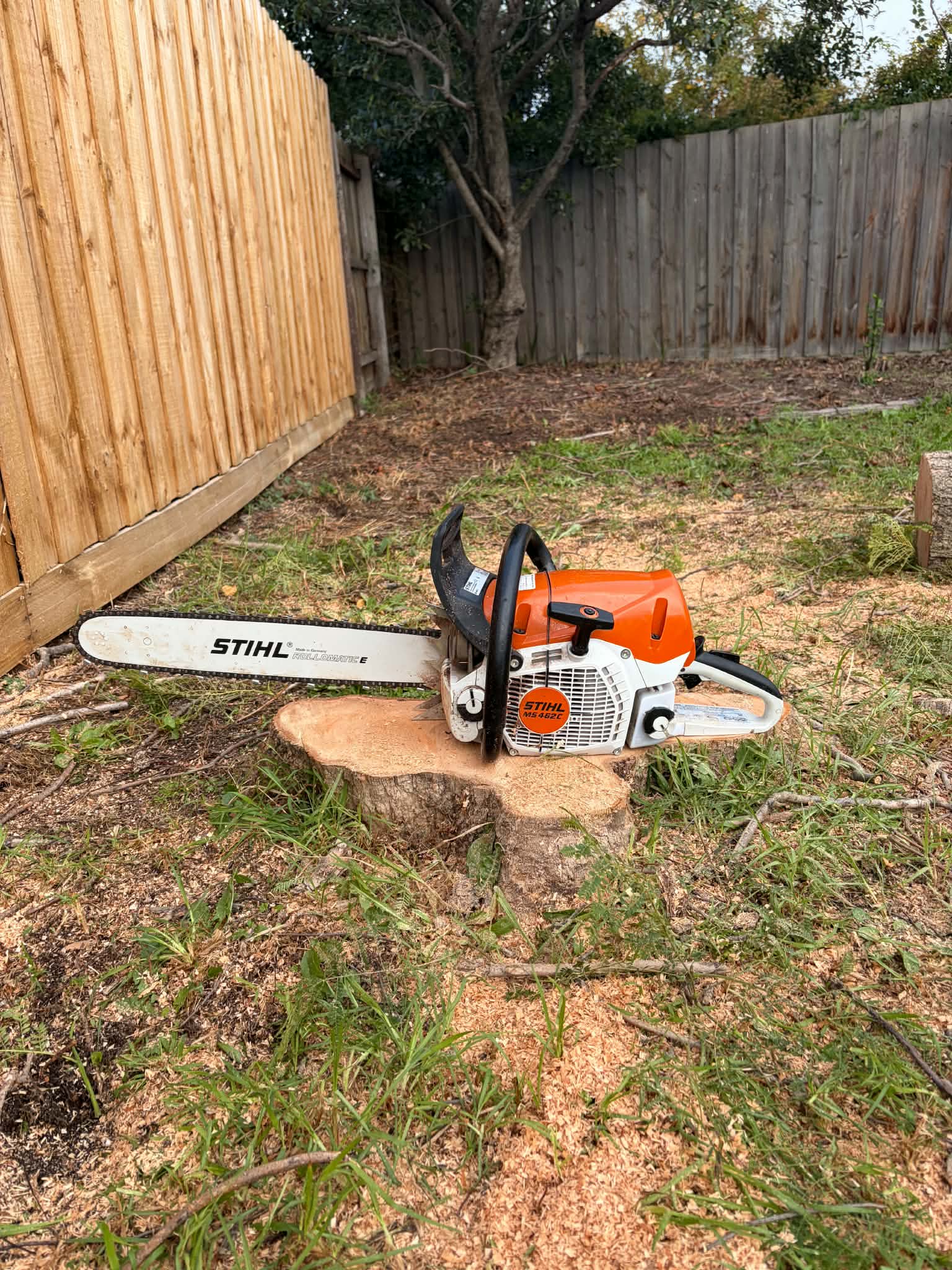 Stump Grinding by Safer Trees Melbourne