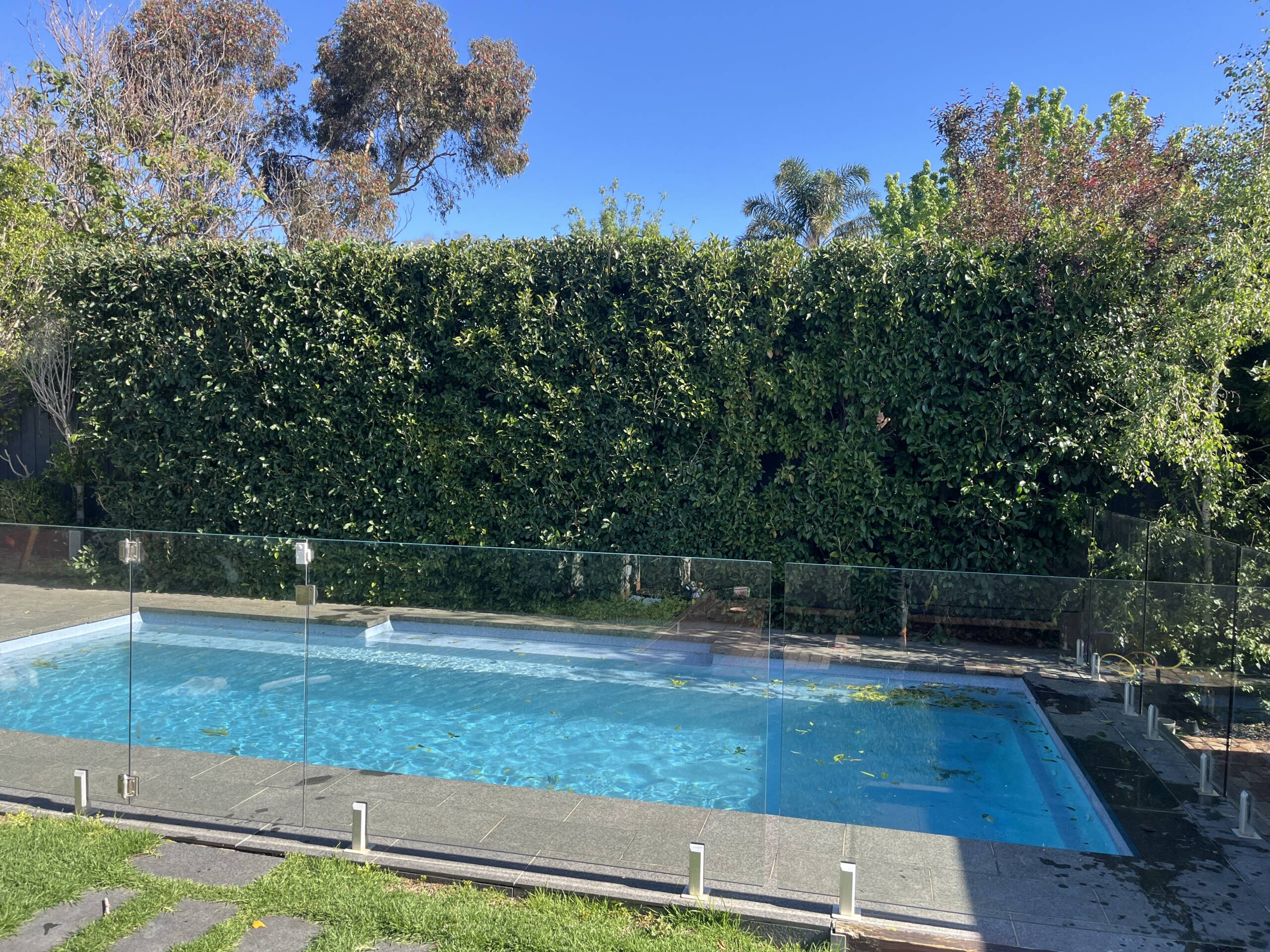 Hedge Trimming by Safer Trees Melbourne