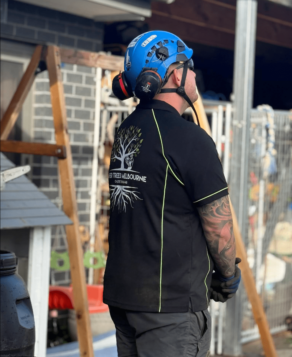 Arborist Reports by Safer Trees Melbourne